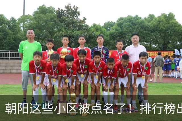 朝阳这些小区被点名了！排行榜出炉，快来看看有没有您家——